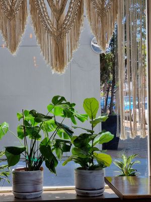 Inside at Higher Taste Plant Based in Long Beach