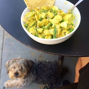 Indian bowl  at Higher Taste Plant Based in Long Beach