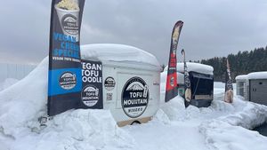 Vegan ramen   at Tofu Mountain - Maybe closed in Niseko