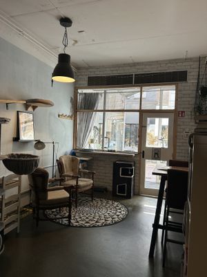 interior  at Kattencafé Stripe in Dordrecht