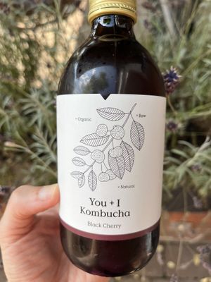 Kombucha! Nice  at Lu-Ma Cafe in South West London