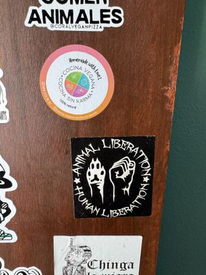   at El Bajón Vegano in Playa Del Carmen