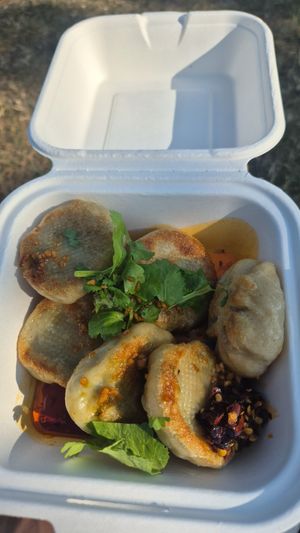 Vegan momos at Tibet Flavour in Ely