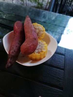  at Wàn Xiàng Vegetarian - 脉象素食 in Shenzhen