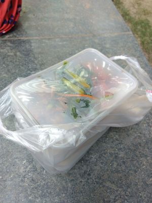 Take our at Compassion Vegetarian Cuisine 慈悅素 in Central Singapore