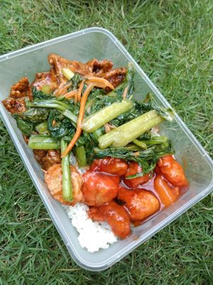 Two mock and one veg at Compassion Vegetarian Cuisine 慈悅素 in Central Singapore