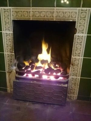 The Red Deer at Red Deer in Sheffield