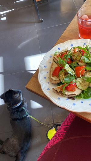 De “topper van Hanne” + kombucha & dog friendly 🥰  at Uutvercoren in Ronse