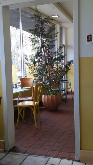 Holiday display at Farmer and The Cook Cafe in Ojai
