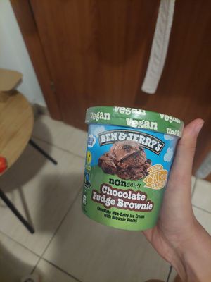 Vegan ice cream at Pizza Fan  in Rhodes