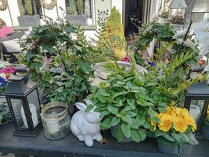  at Petersilchen in Xanten