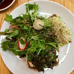 Sprouted bread with mushroom and avocado  at Little Bird Kitchen in Auckland