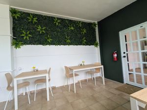  at VGarden Caffé in Luquillo