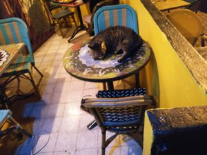 Doobie's place at Doobie's Vegan Bar in Haifa