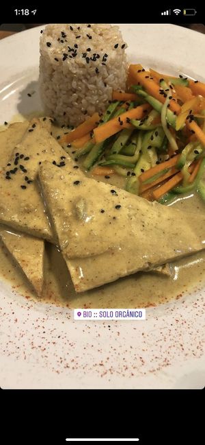 Tofu heaven  at Bio Solo Organico in Buenos Aires