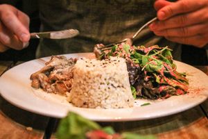 grilled oyster mushrooms with rice at Bio Solo Organico in Buenos Aires