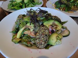 raw croquettes with salad at Bio Solo Organico in Buenos Aires