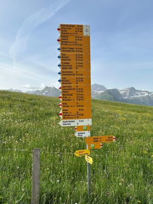 Enjoy a walk or hike before or after your meal at Alphotel Biel-Kinzig in Buerglen