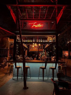 Vibes at Trujillos Cantina De Selva in Playa Del Carmen