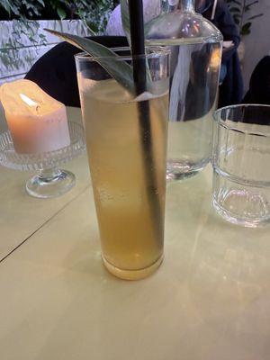Kombucha  at LAS in Lodz