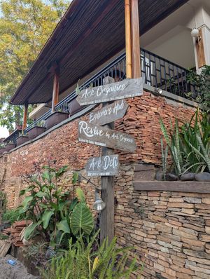 Signpost for different places in the compound at Ark Organics in Kampala