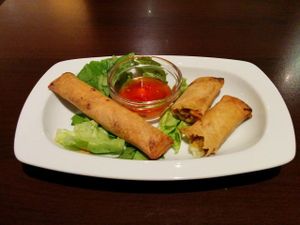 Tasty housemade vegan spring rolls at Pizzeria Casa Piccola in Vienna
