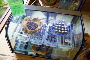 Raw deserts counter at Tinderbox in Balingup