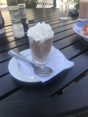 Chocolate & peanut butter mini vegan dessert  at Cafe Evergreen in Nokomis