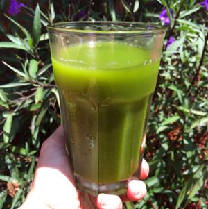 Evergreen Limonade...super greens, cucumber, apple, lemon and ginger at Cafe Evergreen in Nokomis