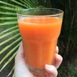 carrot rocket....carrot, green apple, ginger, turmeric, cinnamon, nutmeg and clove   at Cafe Evergreen in Nokomis