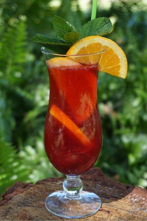 Cranberry Kombucha Spritzer at Cafe Evergreen in Nokomis