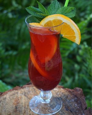 Cranberry Kombucha Spritzer at Cafe Evergreen in Nokomis