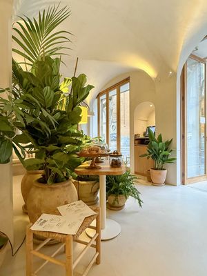 .  at DÔME in Mallorca