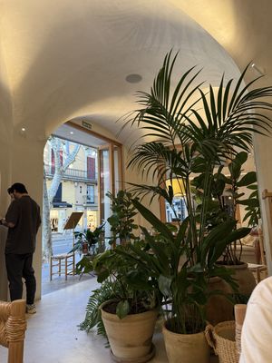   at DÔME in Mallorca