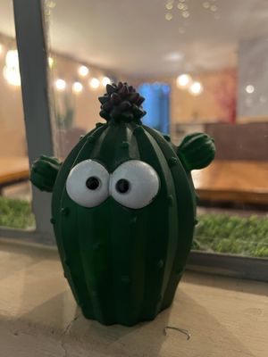   at Yurakuna in Arequipa