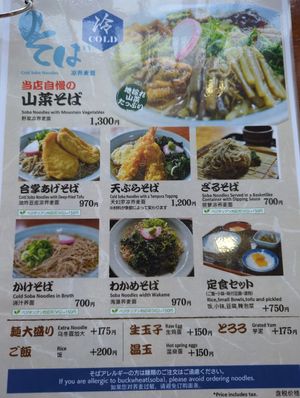 Hot and cold soba noodles with vegan option. at Shirakawago Restaurant Irori in Shirakawa