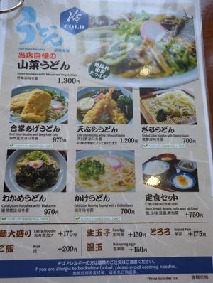 Hot and cold udon noodles with vegan options. at Shirakawago Restaurant Irori in Shirakawa