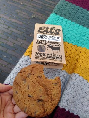 Vegan Cookies for humams and furry friends at KLUTS in Utrecht