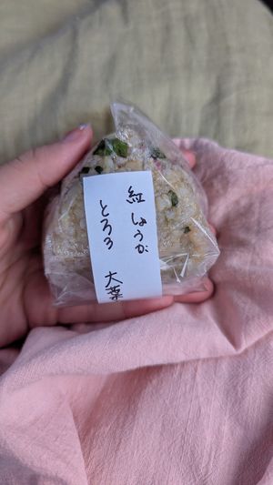 A vegan onigiri we had for the road. Very fragrant and almost floral tasting. Filling and refreshing! (This wasn't labelled vegan, we asked the staff) at Additive-free rice 88 - 無添加ごはん88 in Abashiri