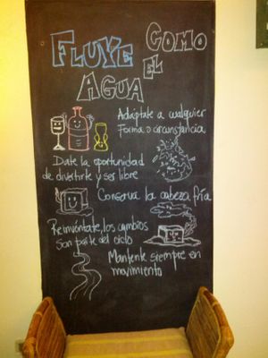 'Flow like the water'... at Vida Plena Resto Organico in Mendoza