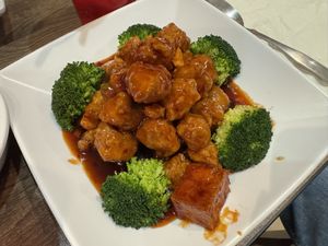 The vegetarian chicken, which is totally vegan. Really nice texture—not super chewy    at Silk Road Asian Cuisine in Lewis Center