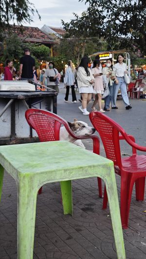 Mickey at Vegan Rice Paper - Food Cart in Hoi An