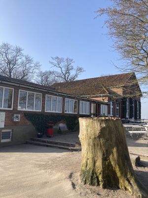Terrace  at Kurhaus Dangast in Varel