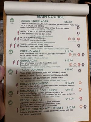 Veggie mains, vegan options clearly labeled. Note how some vegetarian options have an asterisk stating they can be made without diary upon request    at Mi Méjico in Granada