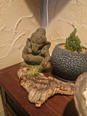  at Vegan Sushi Kyoto in Kyoto