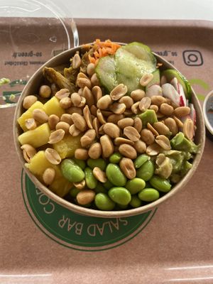 Soy protein bowl with peanuts and sweet soy saucee  at SO Green in Nice