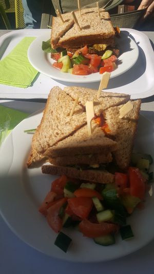 Vegan sandwich at SO Green in Nice