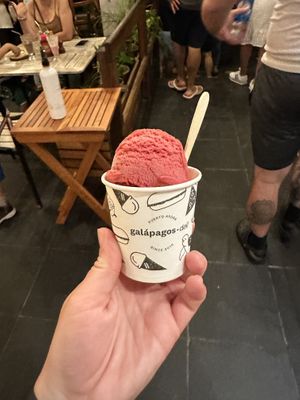Blackberry sorbet in a cup  at Galapagos Deli in Puerto Ayora