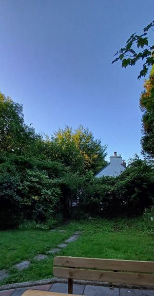 Cottage from the garden first thing in the morning at Gorllan in Eglwyswrw