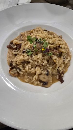 Risotto di funghi (Mushroom Risotto ask for vegan version-no dairy) at Fratello's Ristorante & Pizzeria in Idyllwild